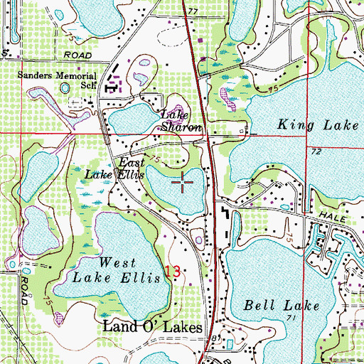Topographic Map of East Lake Ellis, FL