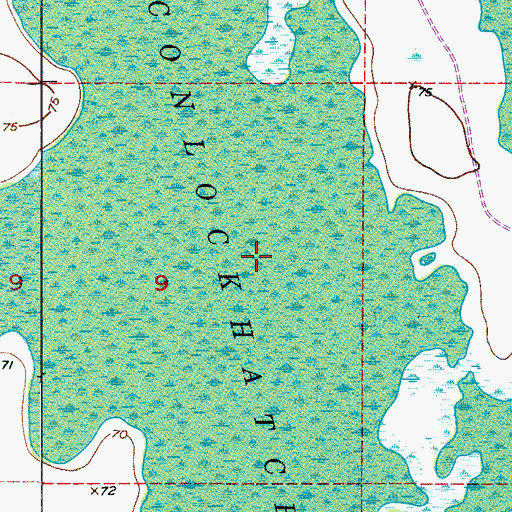 Topographic Map of Econlockhatchee River Swamp, FL