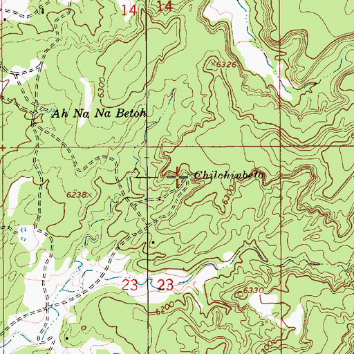 Topographic Map of Chilchinbeto, AZ