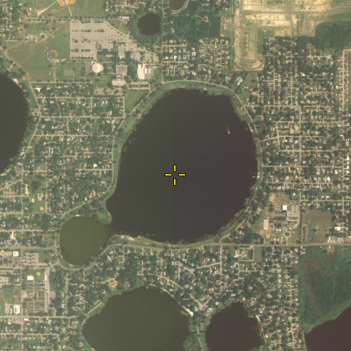 Aerial/Satellite Image of Lake Elbert, FL