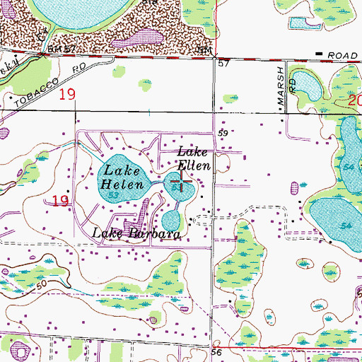 Topographic Map of Lake Ellen, FL