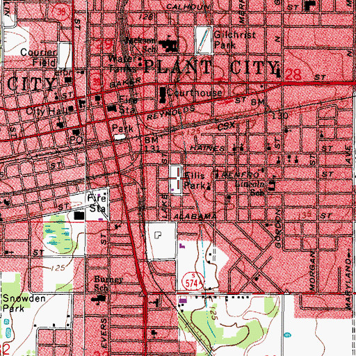 Topographic Map of Ellis Park, FL
