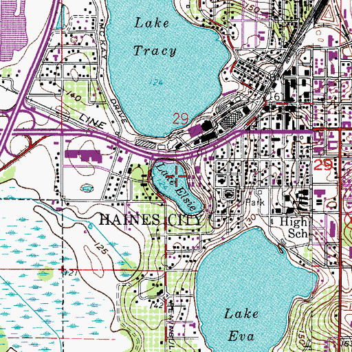 Topographic Map of Lake Elsie, FL