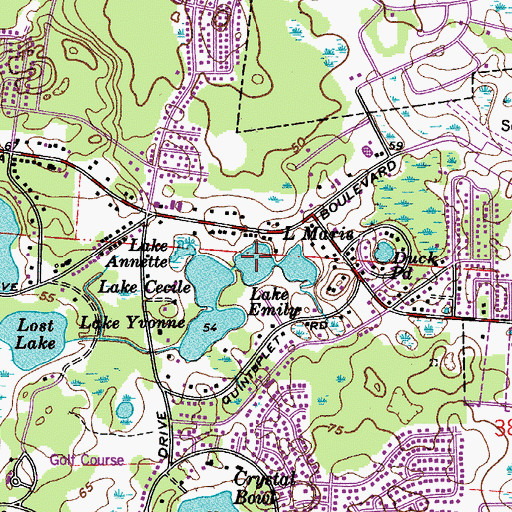 Topographic Map of Lake Emily, FL