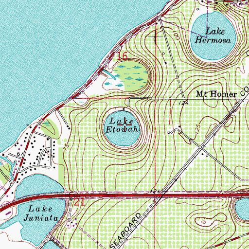 Topographic Map of Lake Etowah, FL