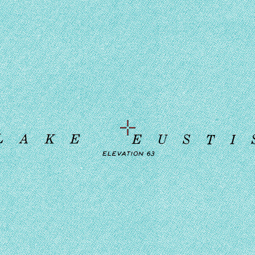 Topographic Map of Lake Eustis, FL