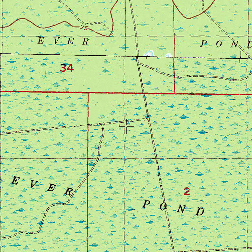 Topographic Map of Ever Pond, FL
