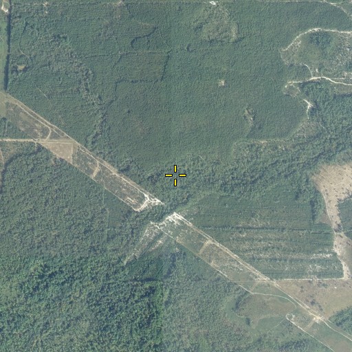 Aerial/Satellite Image of Falling Branch, FL