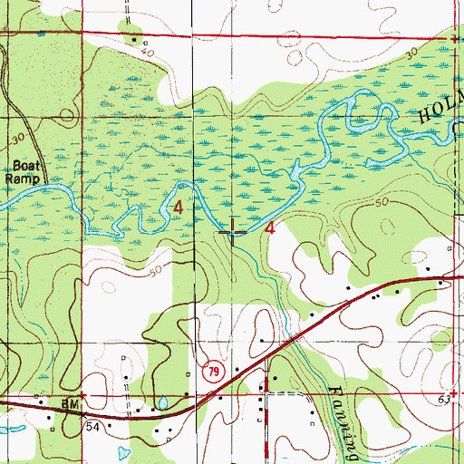 Topographic Map of Fanning Branch, FL