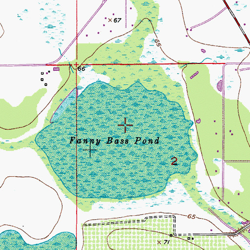 Topographic Map of Fanny Bass Pond, FL