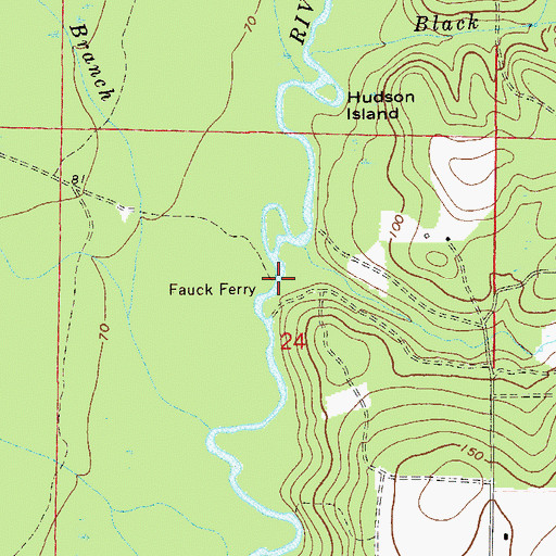 Topographic Map of Fauck Ferry, FL