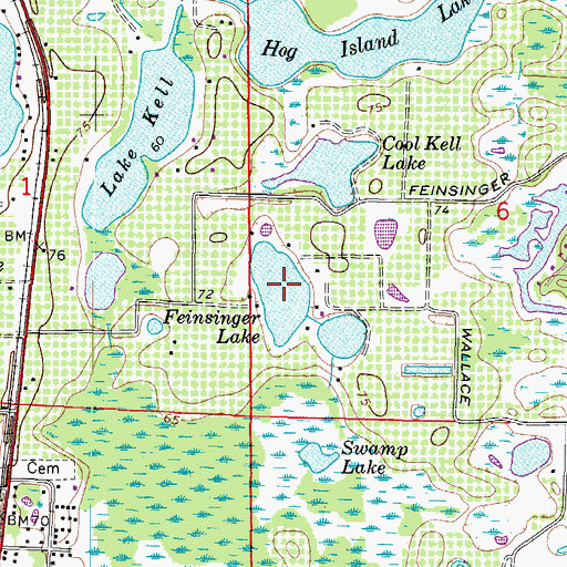 Topographic Map of Feinsinger Lake, FL