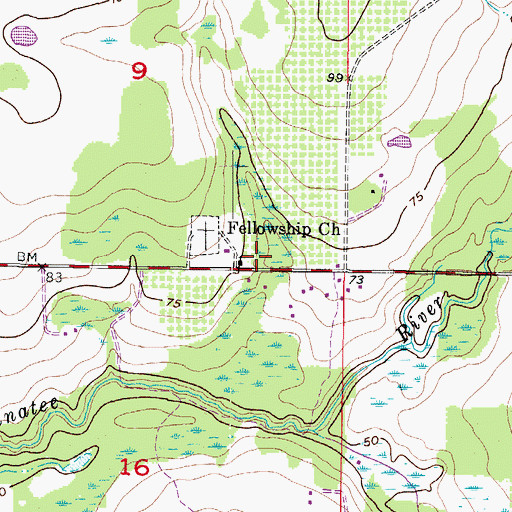 Topographic Map of Fellowship Church, FL