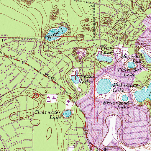 Topographic Map of Felton Lake, FL