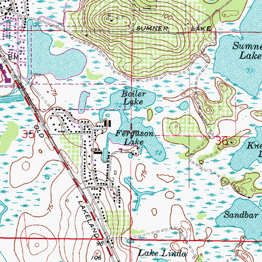 Topographic Map of Ferguson Lake, FL