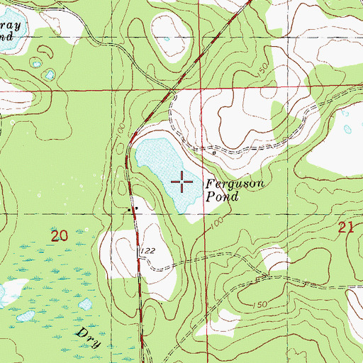 Topographic Map of Ferguson Pond, FL