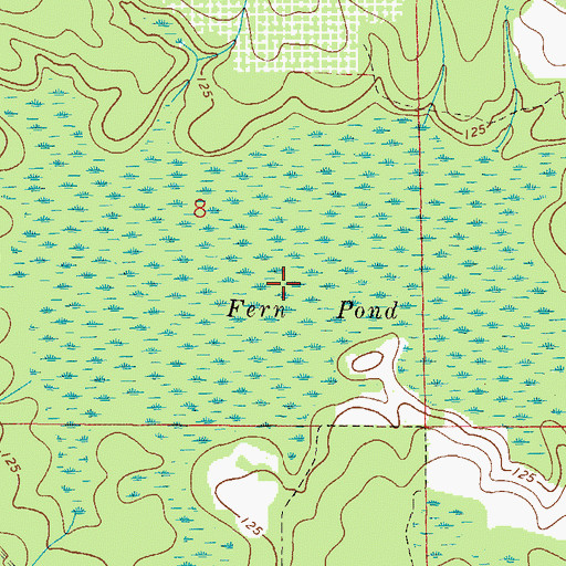 Topographic Map of Fern Pond, FL