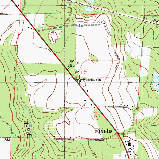 Topographic Map of Fidelis Church, FL