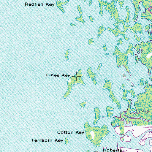 Topographic Map of Fines Key, FL