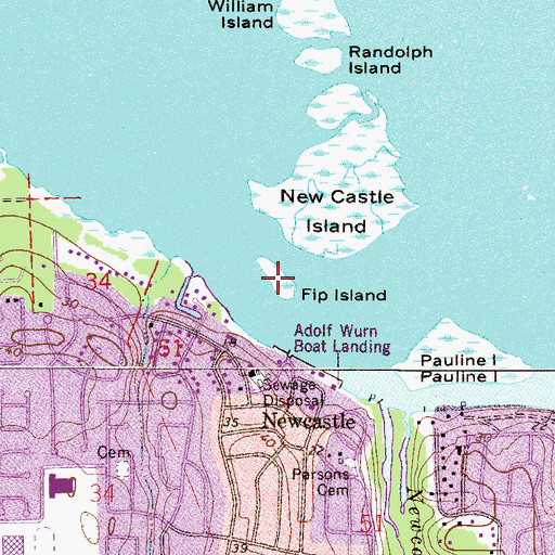 Topographic Map of Fip Island, FL