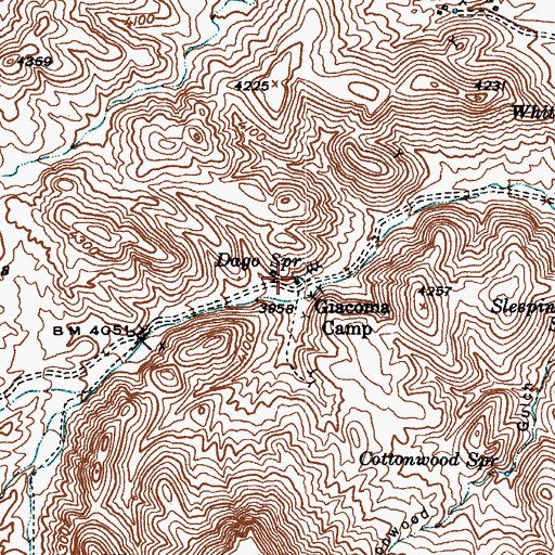 Topographic Map of Dago Spring, AZ