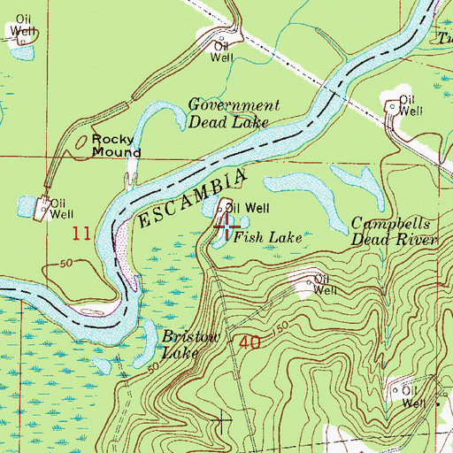 Topographic Map of Fish Lake, FL
