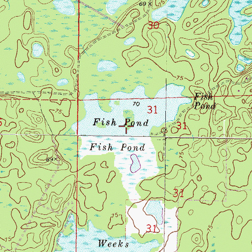 Topographic Map of Fish Pond, FL