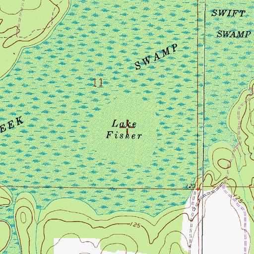 Topographic Map of Fisher Lake, FL