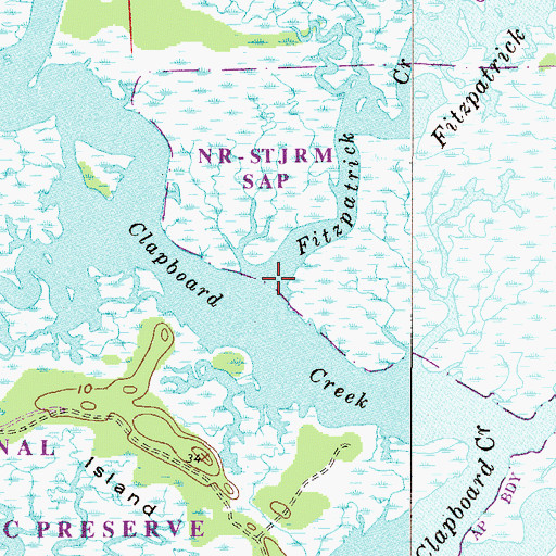 Topographic Map of Fitzpatrick Creek, FL