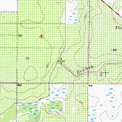 Topographic Map of Fivemile Gully, FL