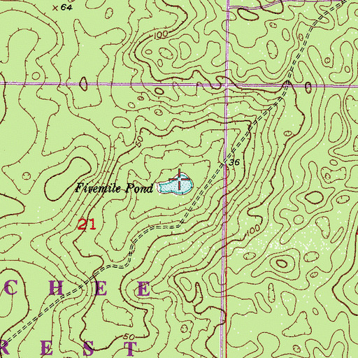 Topographic Map of Fivemile Pond, FL