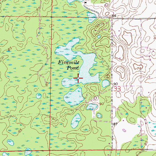 Topographic Map of Fivemile Pond, FL