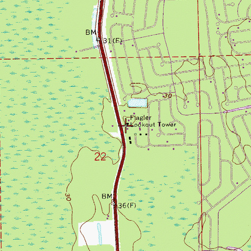 Topographic Map of Flagler Lookout Tower, FL