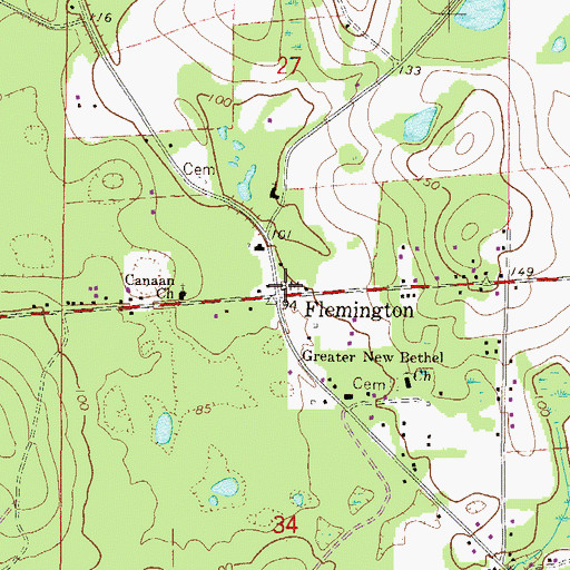 Topographic Map of Flemington, FL