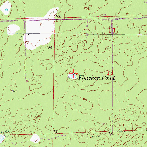 Topographic Map of Fletcher Pond, FL