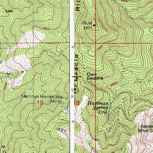 Topographic Map of Dan Saddle, AZ