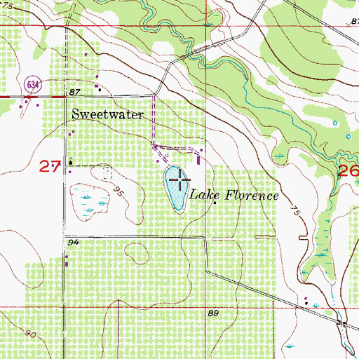 Topographic Map of Lake Florence, FL