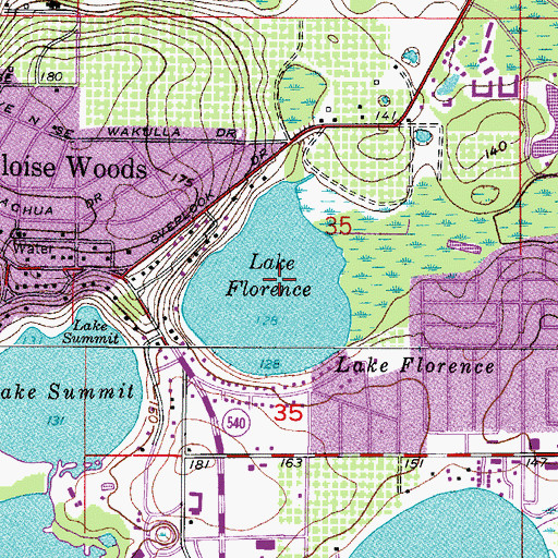 Topographic Map of Lake Florence, FL