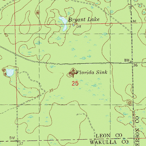 Topographic Map of Florida Sink, FL