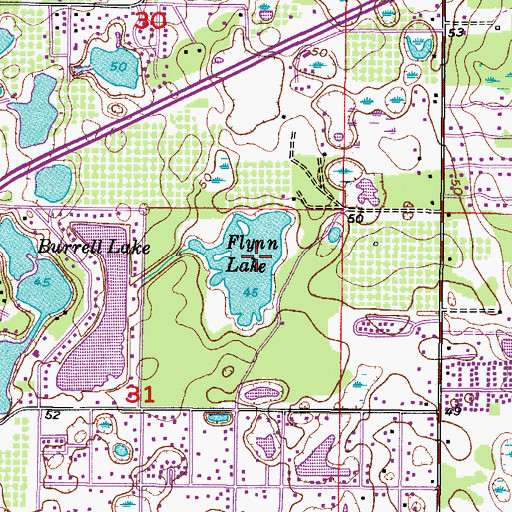Topographic Map of Flynn Lake, FL