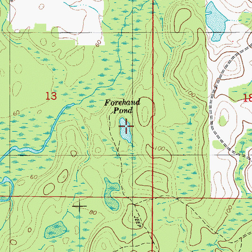 Topographic Map of Forehand Pond, FL