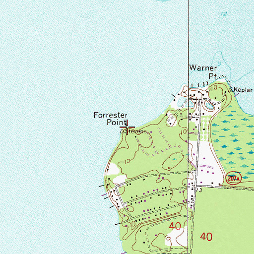 Topographic Map of Forrester Point, FL