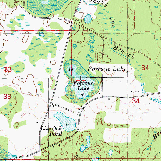 Topographic Map of Fortune Lake, FL