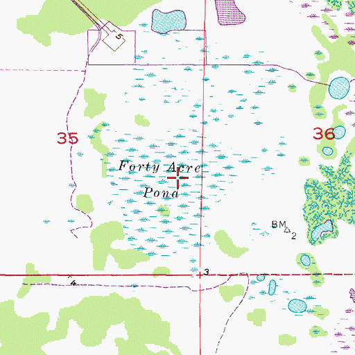 Topographic Map of Forty Acre Pond, FL