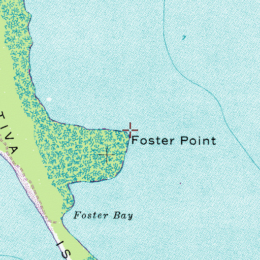 Topographic Map of Foster Point, FL
