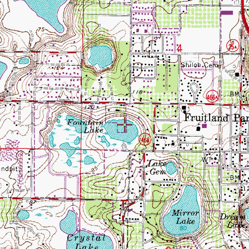 Topographic Map of Fountain Lake, FL