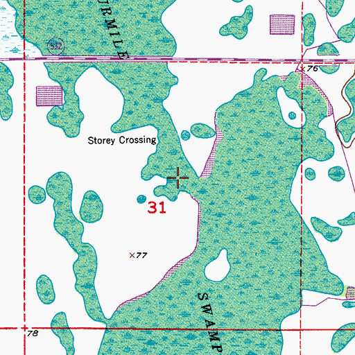 Topographic Map of Fourmile Swamp, FL