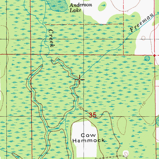Topographic Map of Freeman Branch, FL