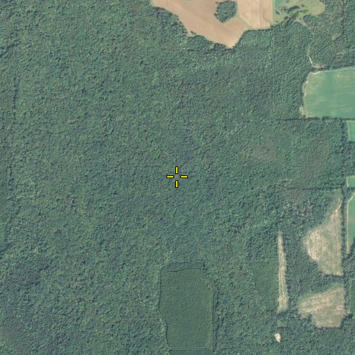Aerial/Satellite Image of Freeman Branch, FL