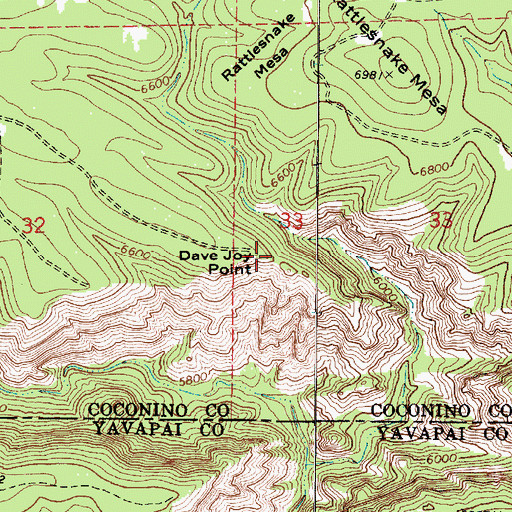 Topographic Map of Dave Joy Point, AZ